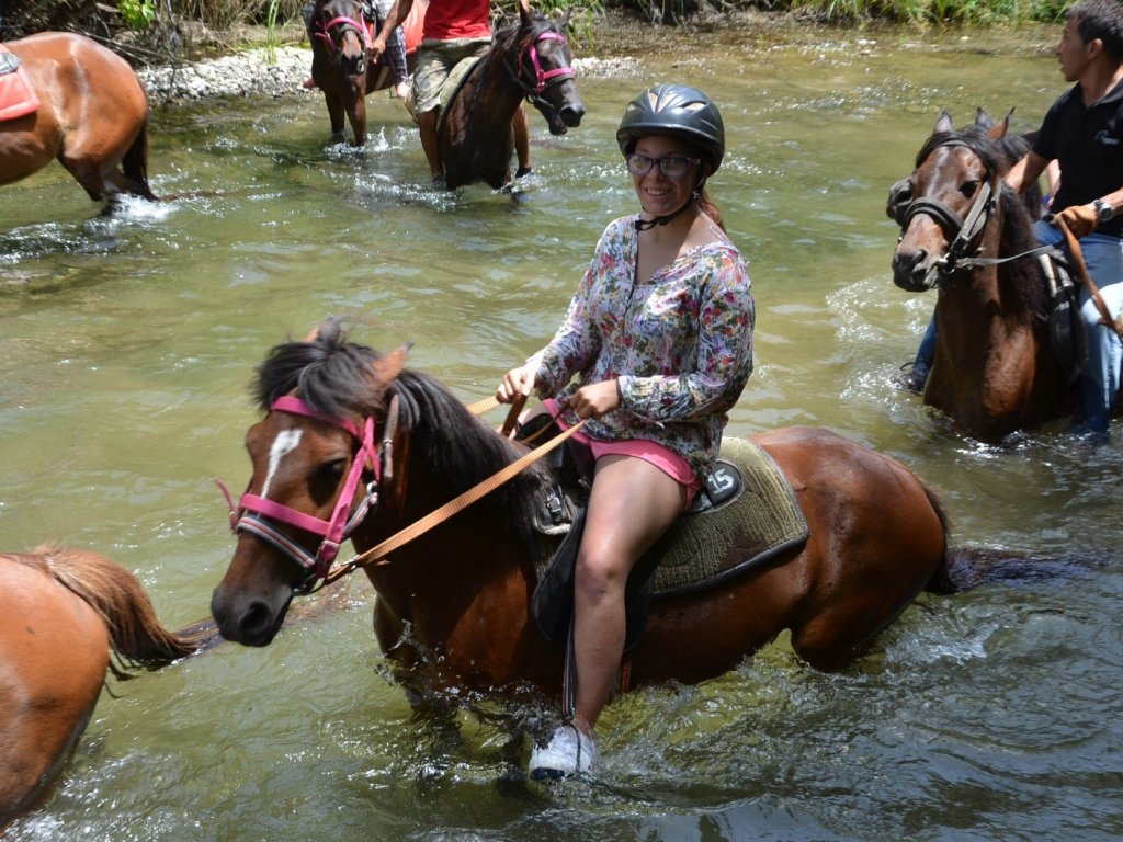 Turunç At Safari