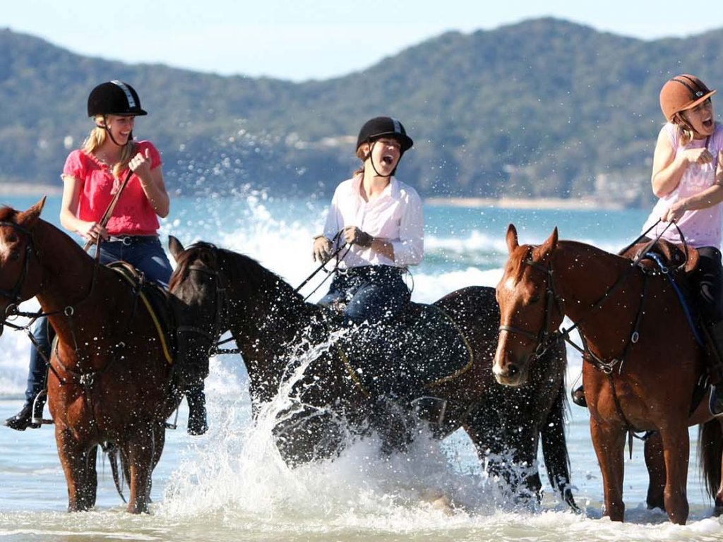 Antalya At Binme Turu 