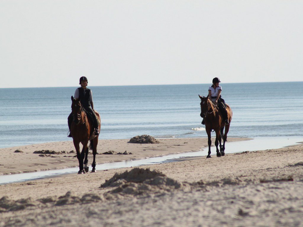 Antalya At Binme Turu 