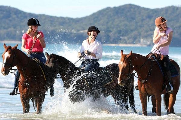 Antalya Horse Riding