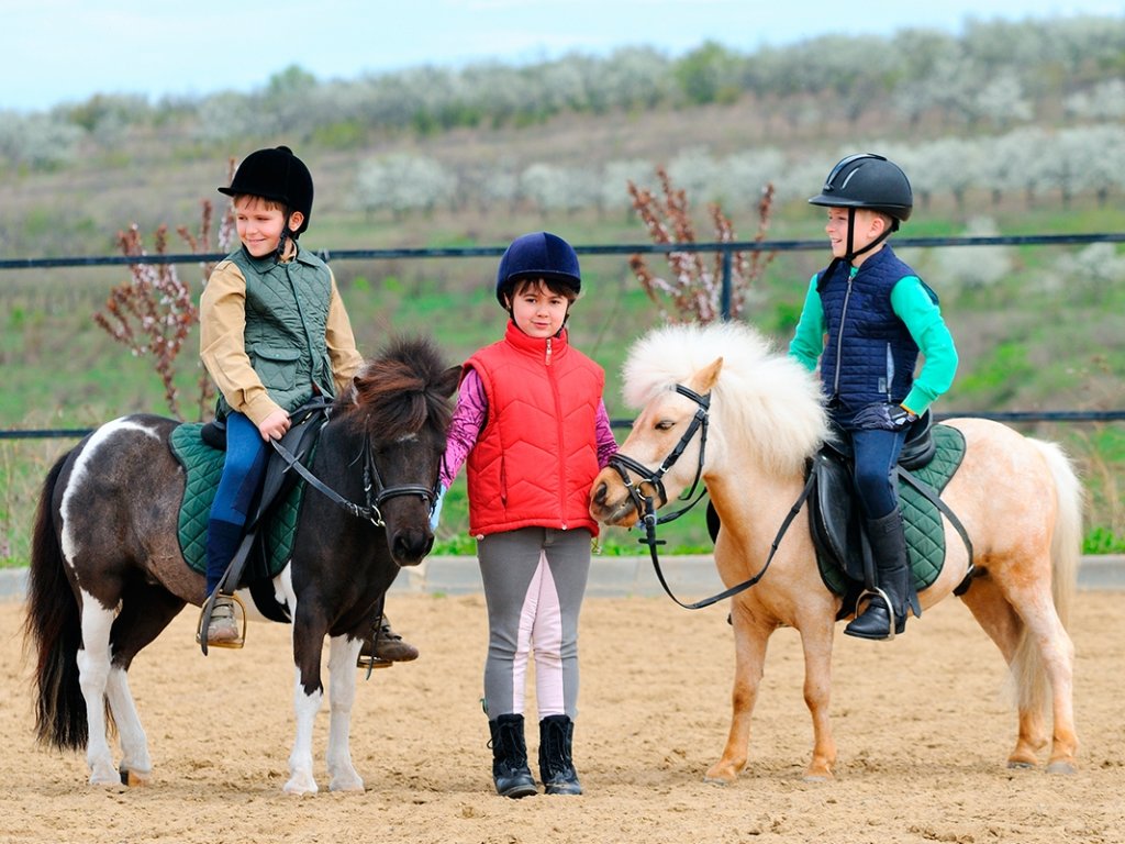 Icmeler Kids Pony Riding