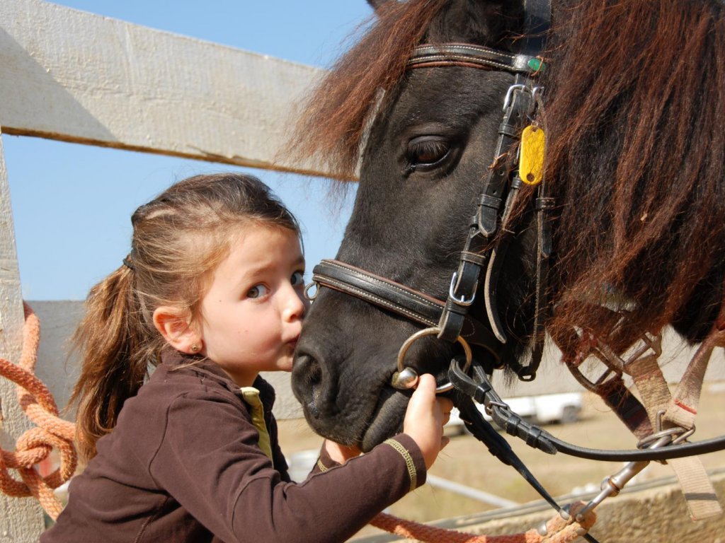 Icmeler Kids Pony Riding