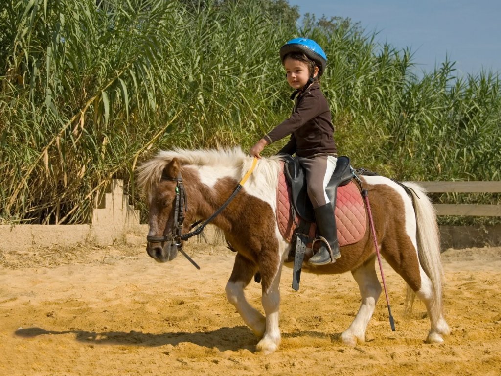 Icmeler Kids Pony Riding