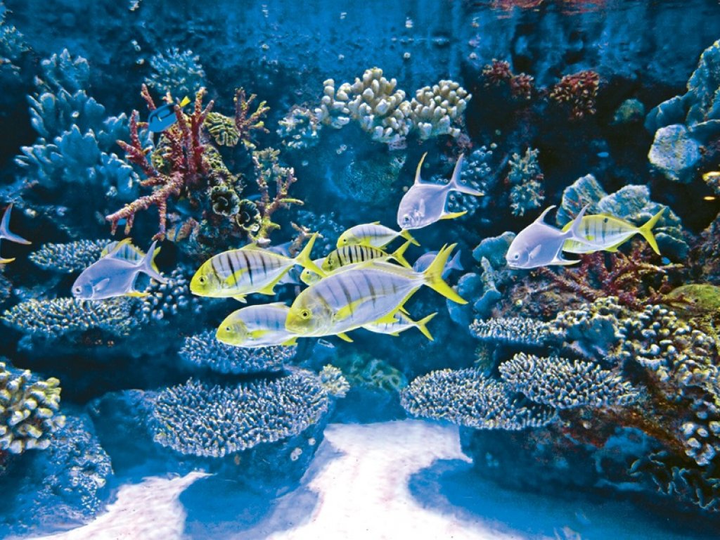  Antalya Aquarium Tour