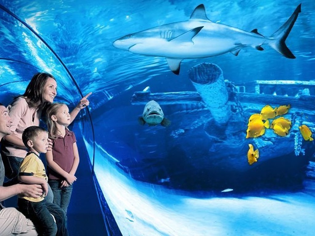  Antalya Aquarium Tour