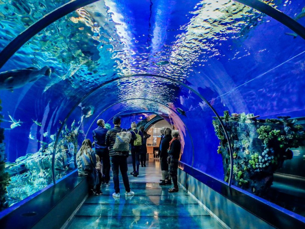  Antalya Aquarium Tour