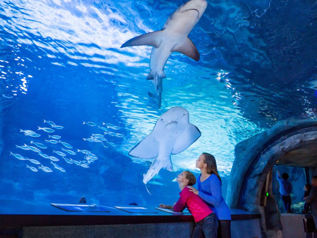  Antalya Aquarium Tour