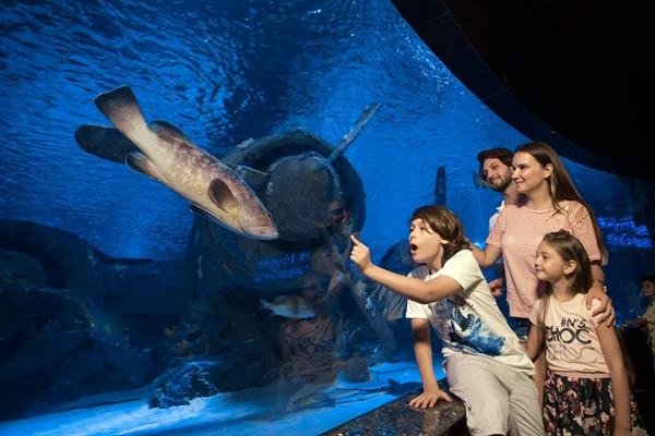  Antalya Aquarium Tour