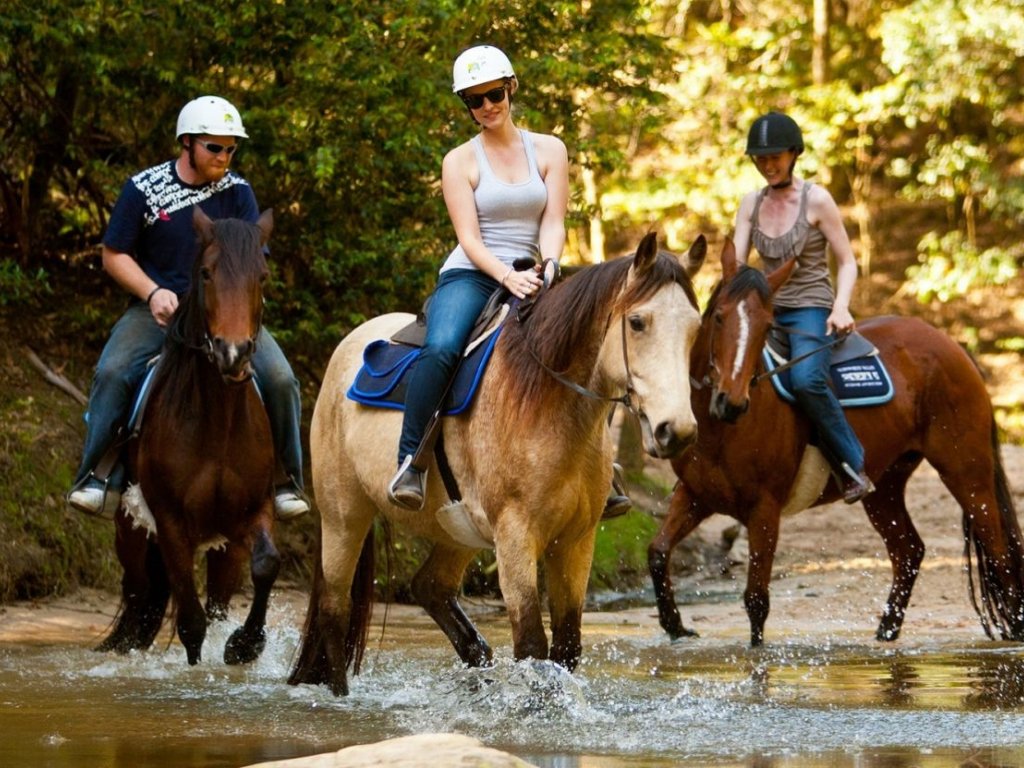 КОМБО ТУР 2 В ИЧМЕЛЕР (Horse Safari-Canoeing Tour)