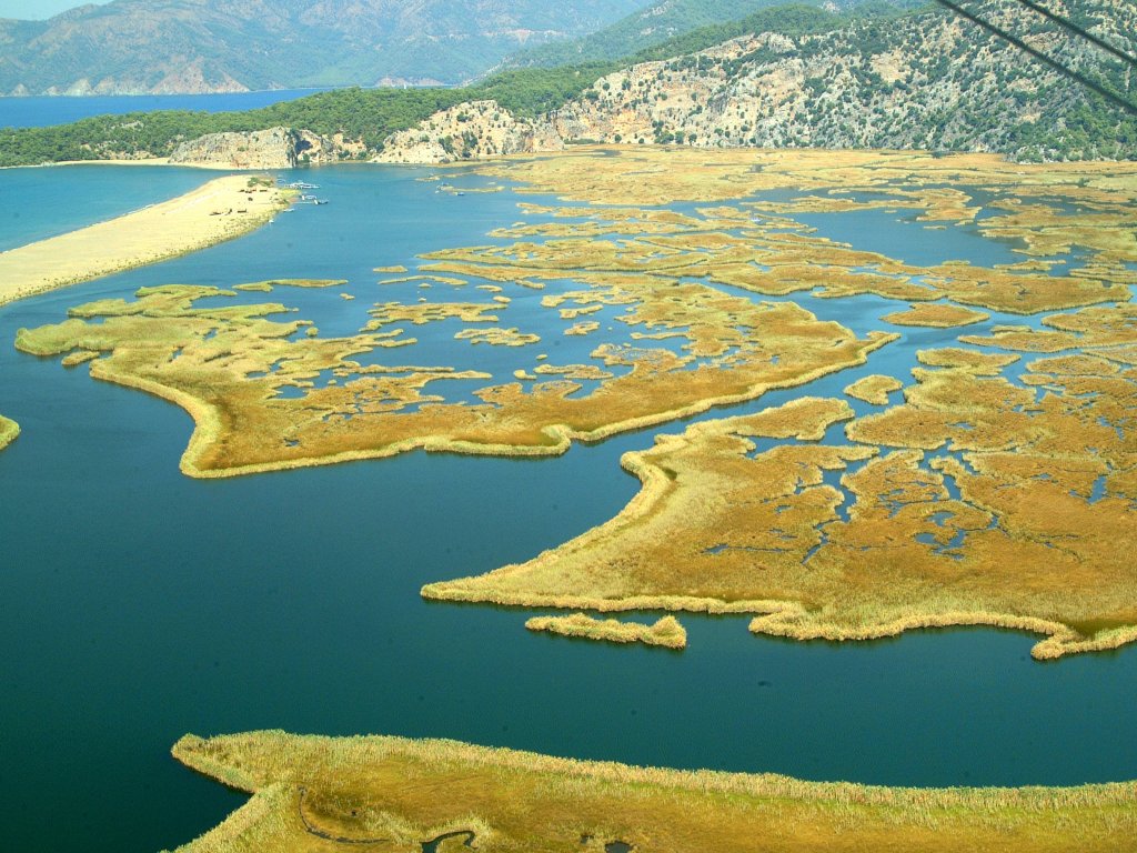 Turunç Dalyan Tekne Turu