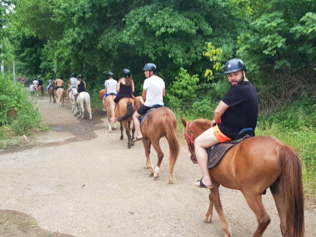 Marmaris Horse Safari