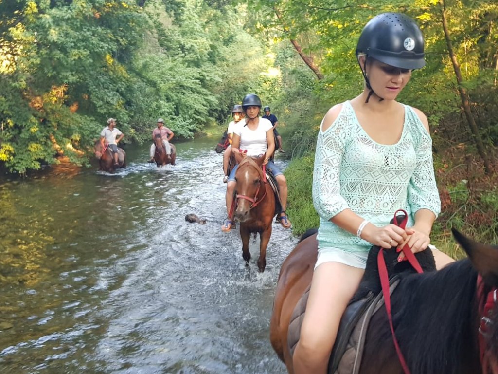 Marmaris Horse Safari