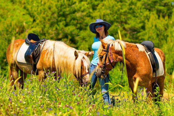 Marmaris Horse Safari