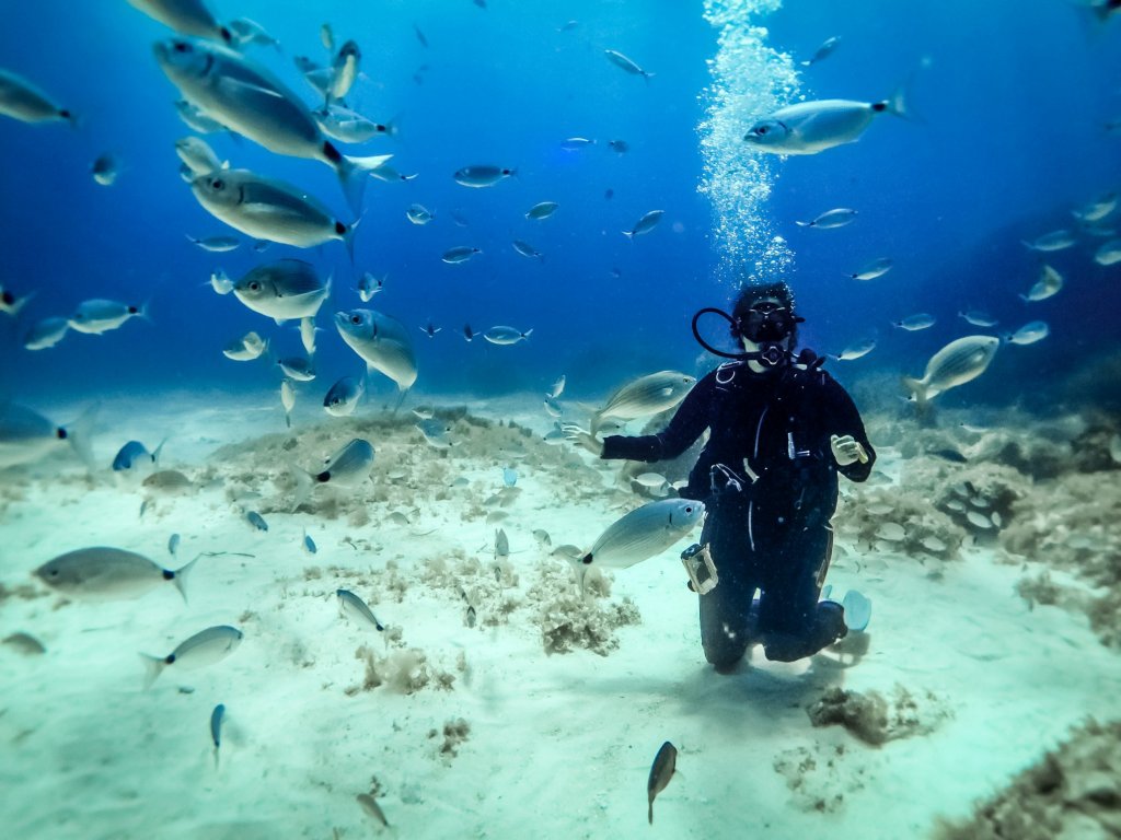 Icmeler Scuba Diving Tour