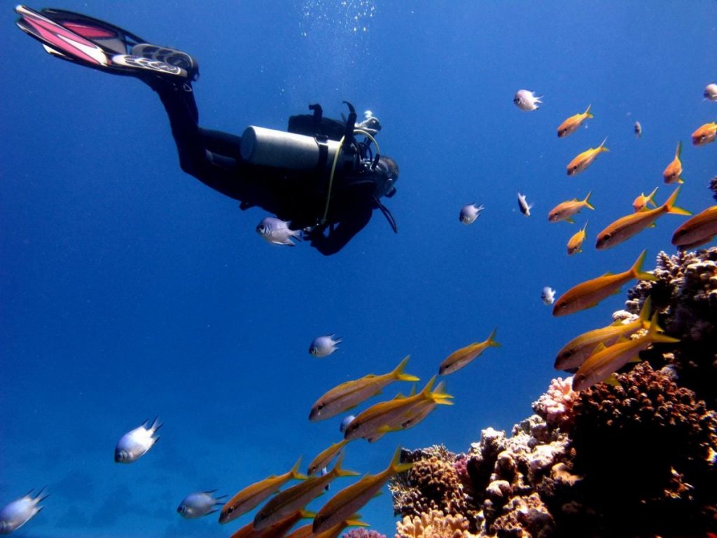 Icmeler Scuba Diving Tour