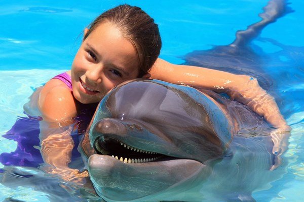 Marmaris Swims With Dolphins