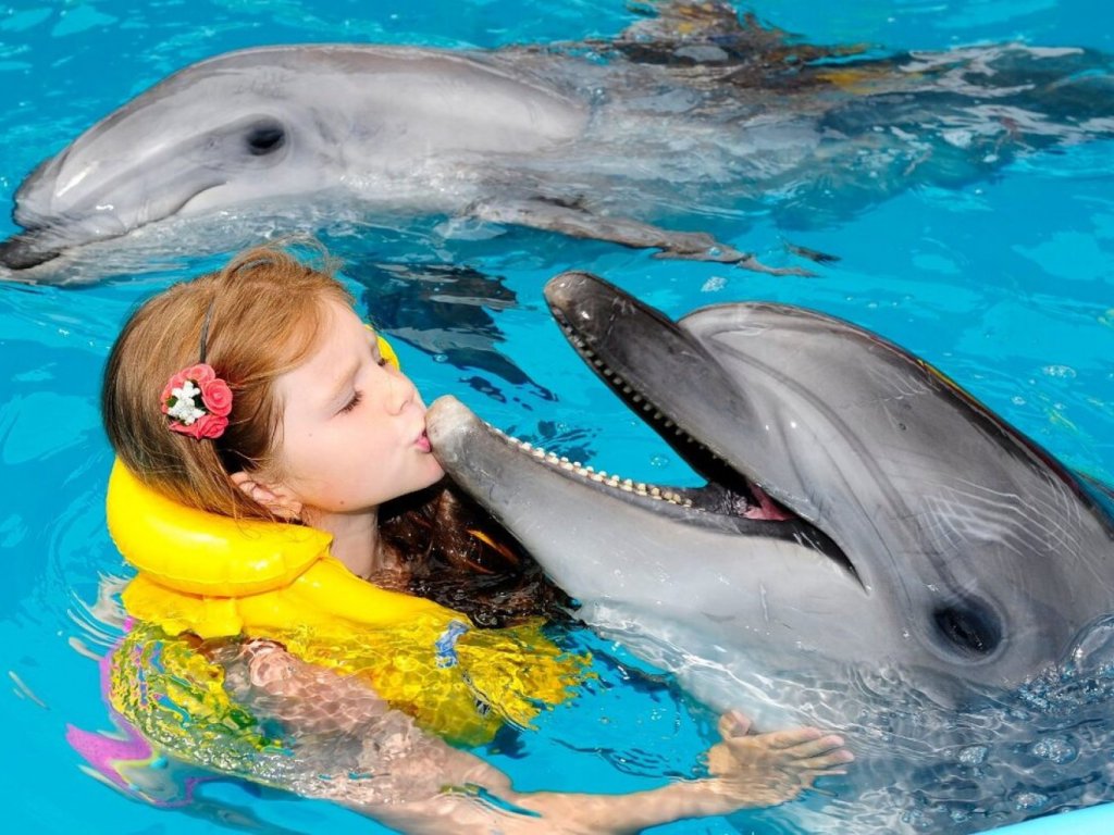 Icmeler Swim With Dolphins
