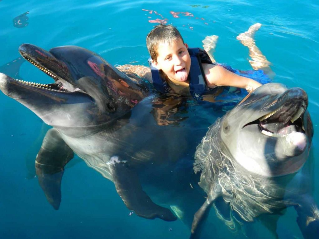 Icmeler Swim With Dolphins