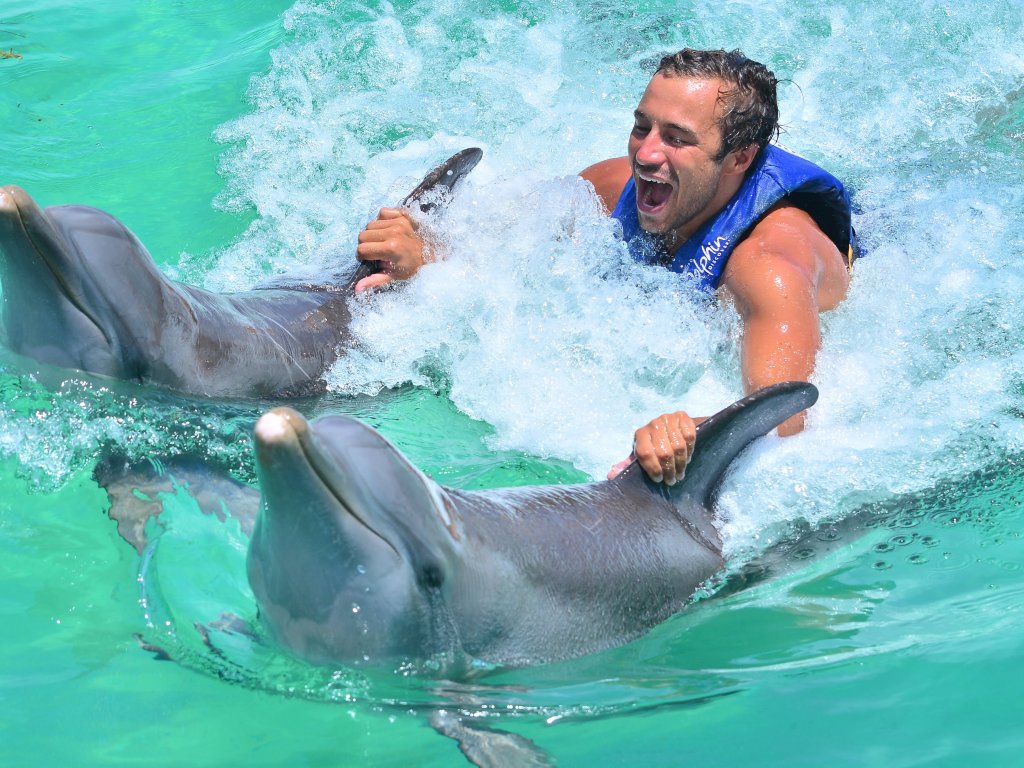 Icmeler Swim With Dolphins