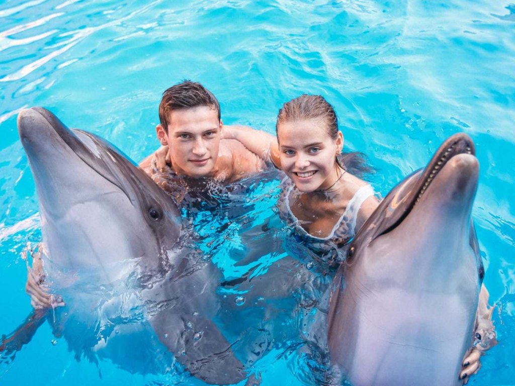 Icmeler Swim With Dolphins