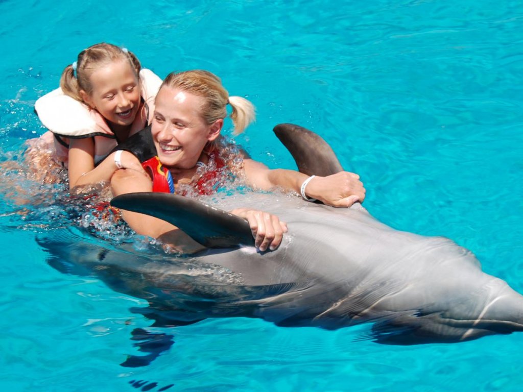 Icmeler Swim With Dolphins