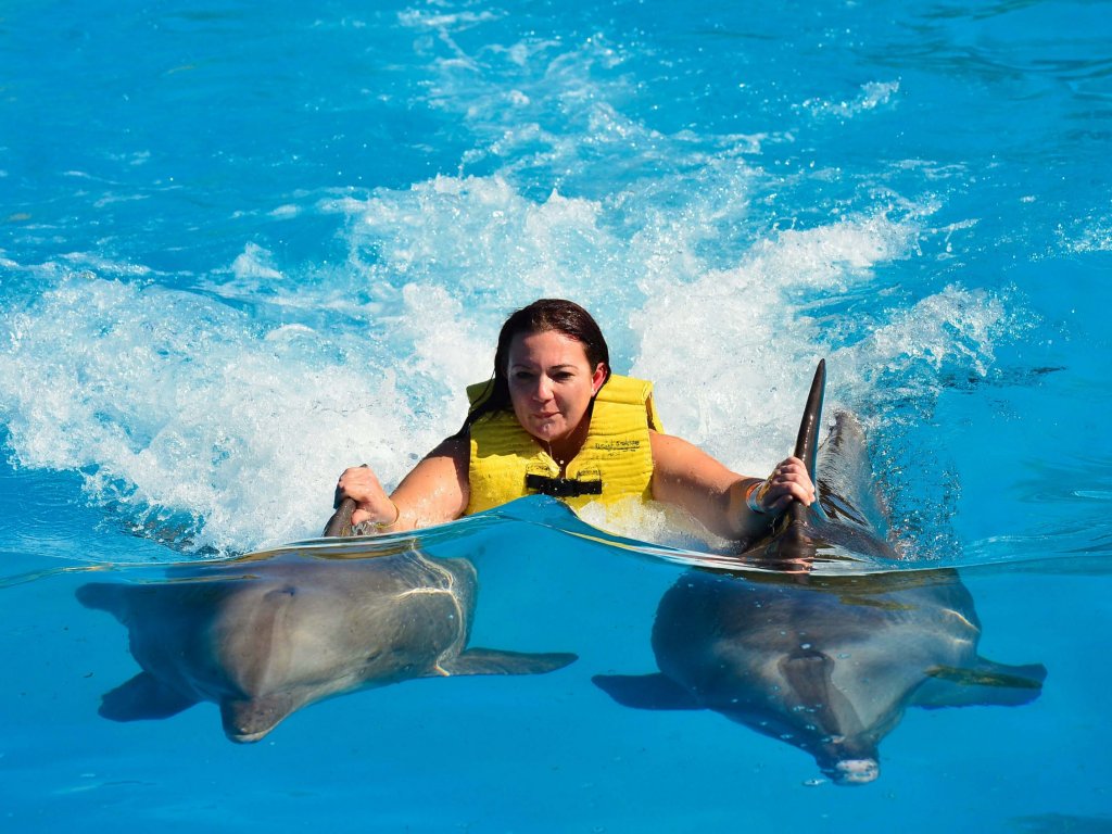 Icmeler Swim With Dolphins