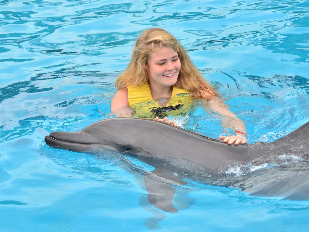 Icmeler Swim With Dolphins
