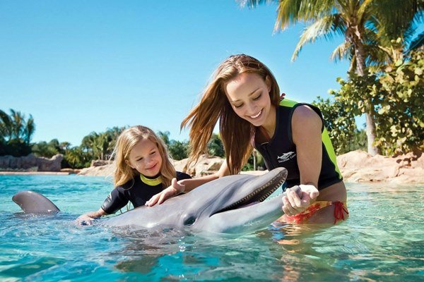 Marmaris Meets With Dolphins