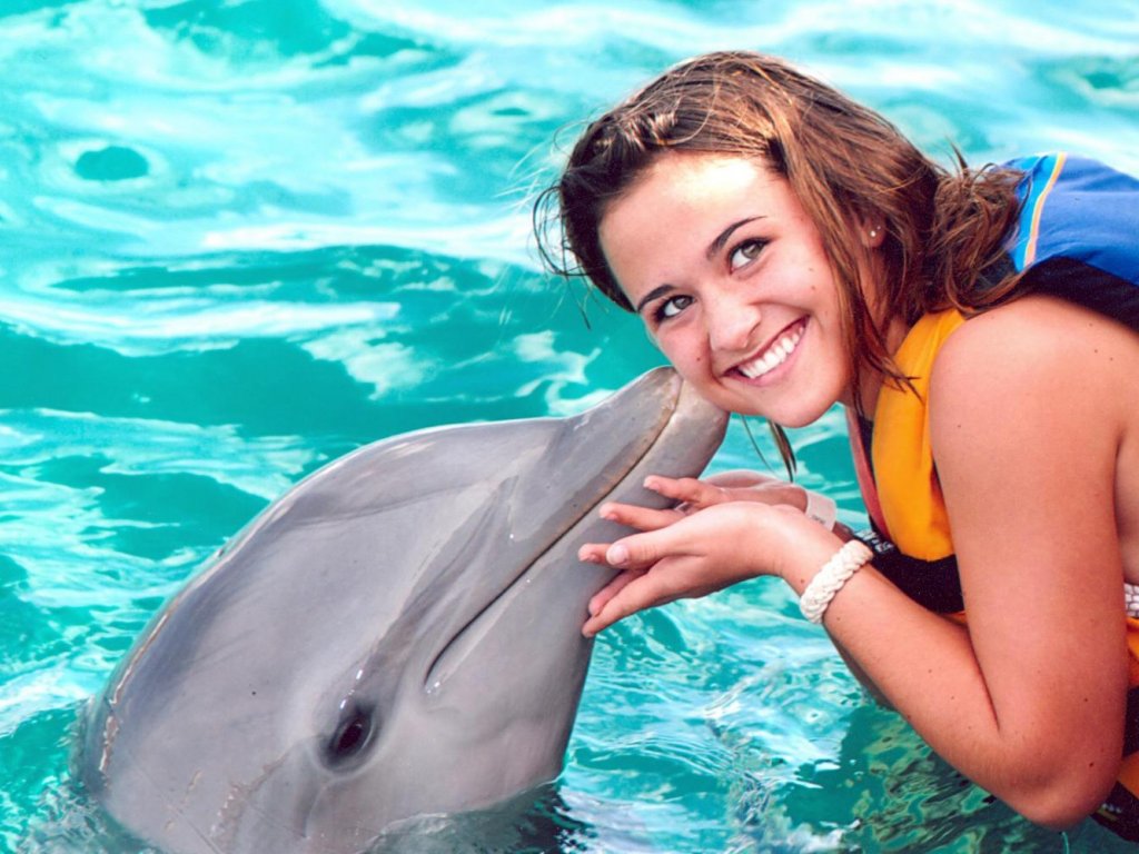 Icmeler Meet With Dolphins