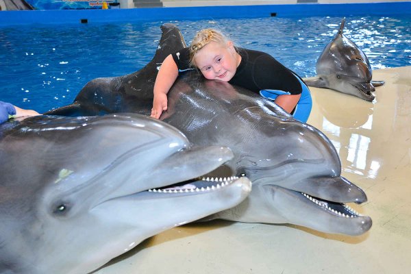 Turunc Meet With Dolphins